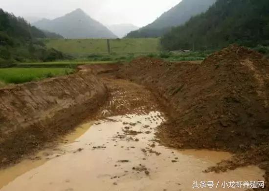 小龙虾养殖池塘的设计及建设方案，新池塘的注意事项及消毒处理