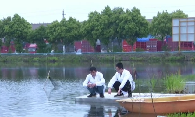 16+4检测项目 守护潜江小龙虾舌尖安全