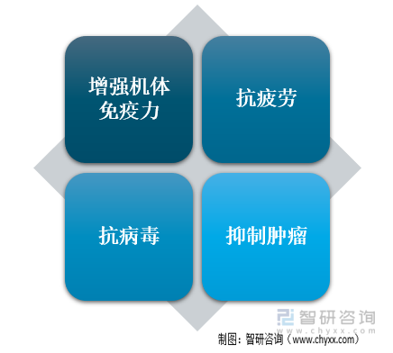 行业干货！2022年中国羊肚菌行业市场发展概况及未来前景分析