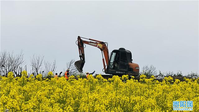 “一地”生“五金” 山村气象新——清镇市犀牛村探索乡村振兴新路调查报告之产业篇