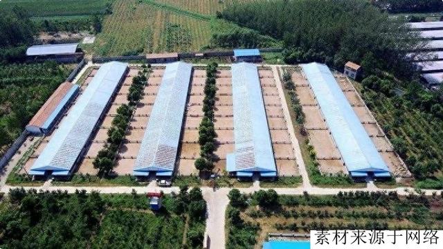 重大利好！养殖业用地即将放宽和优化，养殖不用愁？