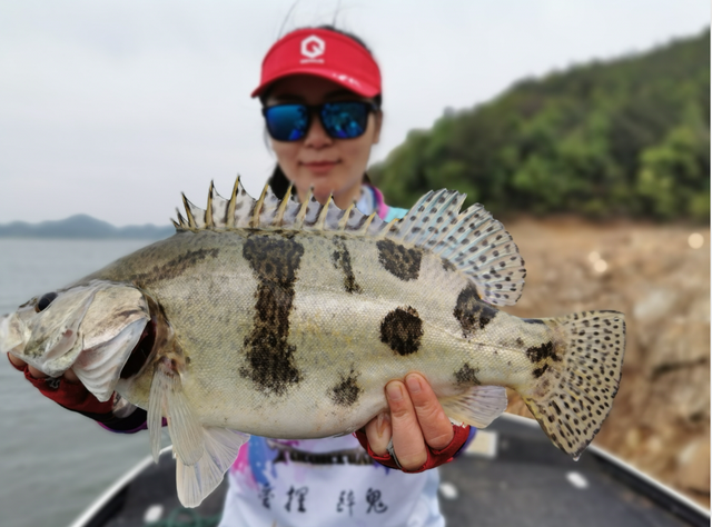 丽娜的钓鱼日记50，江西滨田水库鳜鱼探钓之旅