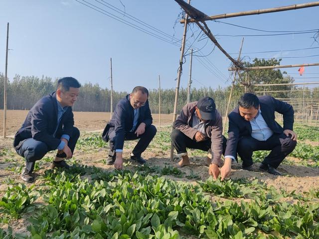 邮储银行菏泽市分行：全力支持养殖业种植业共逐乡村振兴之路