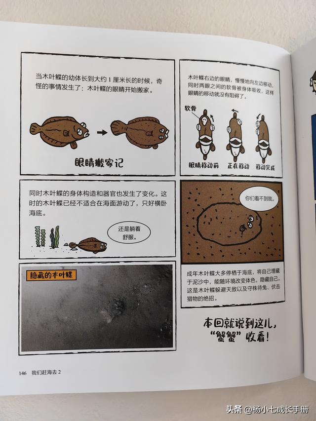 有趣又有梗的科普漫画，跟着刘博士去赶海！