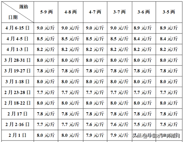 给力！鱼料10天降2次！对虾缺货猛涨，鳜鱼鲈鱼黑鱼鮰鱼持续涨价