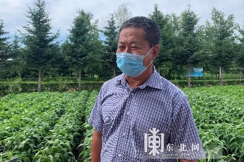 「走向我们的小康生活」绥棱林业局：多产业发展山里职工幸福指数“飙升”