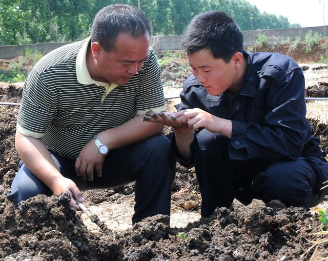 蚯蚓规模化高效养殖技术，做好这几点，提高其经济效益