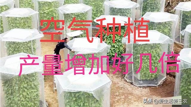 农村种植不赚钱？来试试这些新型特殊种植方式，发家致富很简单