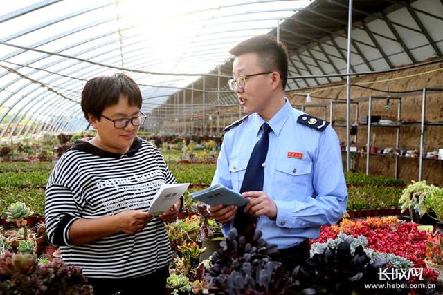 河北平乡：税惠春风吹进多肉植物大棚