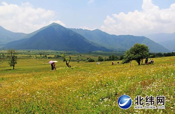 全域旅游 打响“熊猫放归地，温泉阳光城”知名度