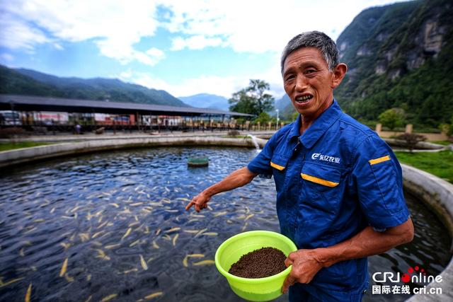 梵净山脚下净河村：生态养殖造福乡民