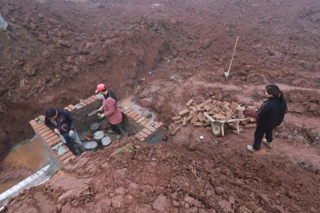 鲈鱼、草鱼、鲢鱼…大河正在建总面积200余亩的养鱼基地！