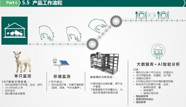 肉羊养殖的数字化未来：现代化智慧羊场管理探秘