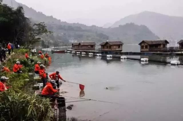 大美绥江∥竹海新城 山水绥江欢迎您！