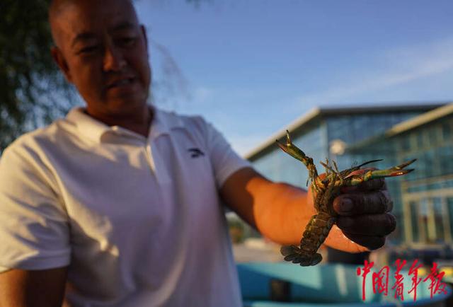 在“离海最远”的新疆养鱼虾