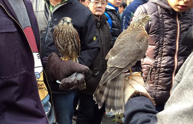 这是它们的再次提醒：没有买卖就没有伤害