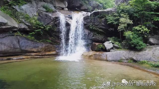 【农广天地】春暖花开，听暖心的故事，品地道的黄羊美食