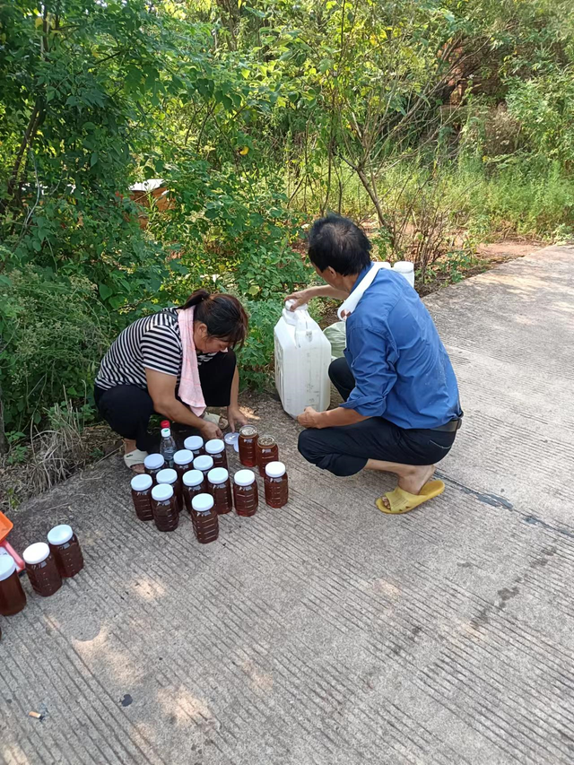 什么蜂蜜最好卖？是土蜂蜜吗？现实情况让人很意外