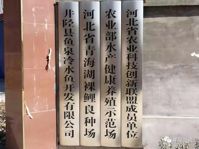 井陉有种鱼一年长一两，原籍青海湖，你知道啥鱼吗？？