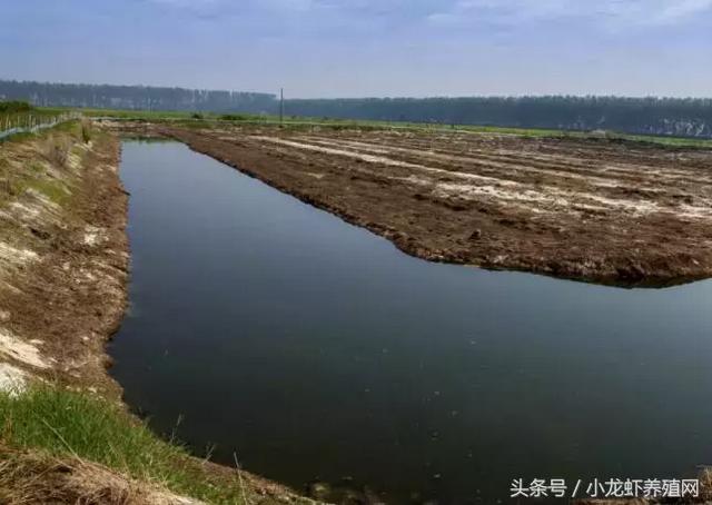 小龙虾养殖池塘的设计及建设方案，新池塘的注意事项及消毒处理