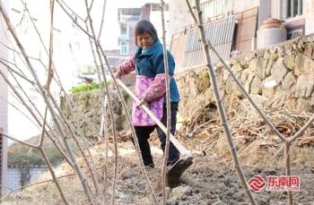 泉州传统村落之安溪吾培：林海茶香 山居掩映