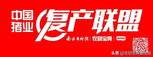 年出栏50万头！网易丁磊第三家现代化猪场落户浙江绍兴啦