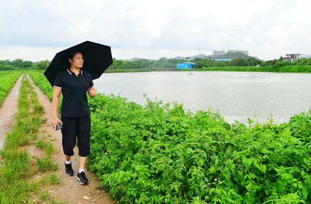 中山巾帼有力量丨罗萍芳：小小叉尾鱼 致富大门路