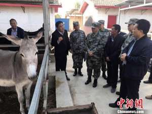 甘肃养殖驴基地哪里有(甘肃榆中山区力畜变“宝贝” 助村民告别“穷日子”)