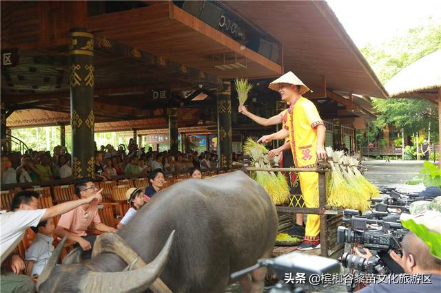 陈楚生、李锐携网红萌娃玩转趣味民俗