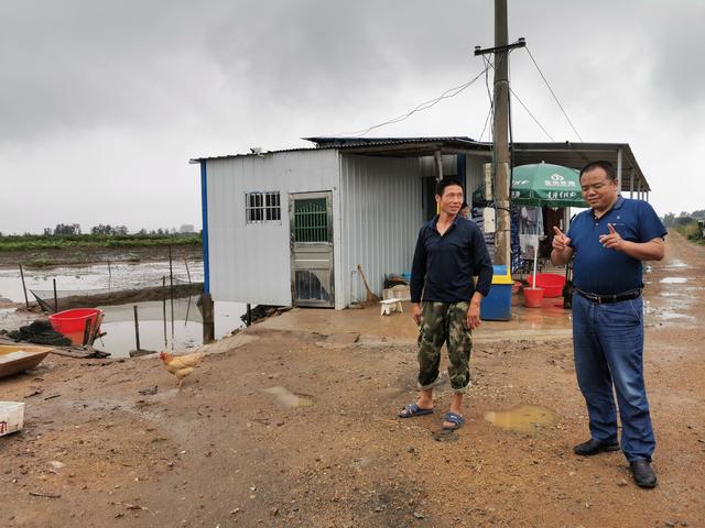 科技助农带来真金白银，岳阳农户脸上笑开了花