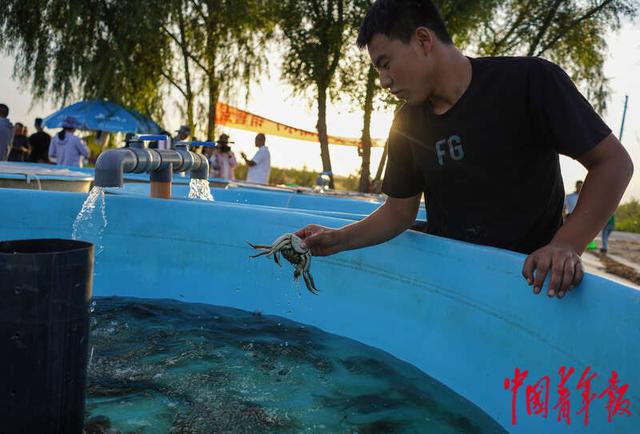 在“离海最远”的新疆养鱼虾