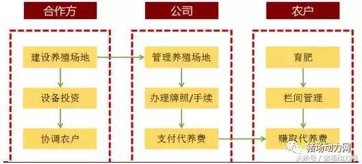 除了温氏，还有新好、雏鹰模式，原来“公司+农户”有这么多玩法