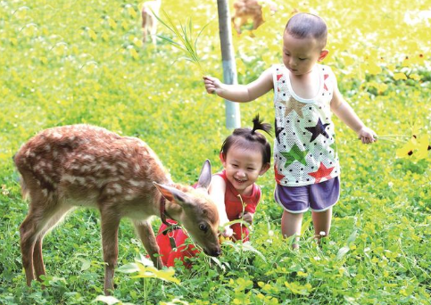 鹿鸣沃野绘宏图