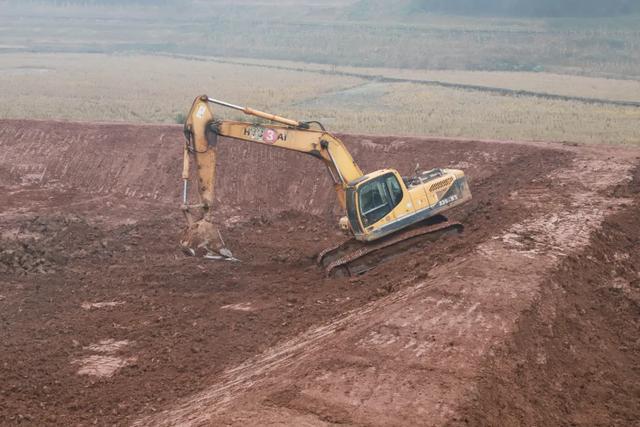 鲈鱼、草鱼、鲢鱼…大河正在建总面积200余亩的养鱼基地！