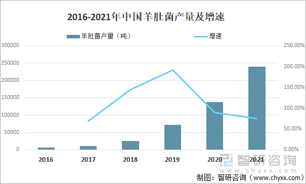 行业干货！2022年中国羊肚菌行业市场发展概况及未来前景分析