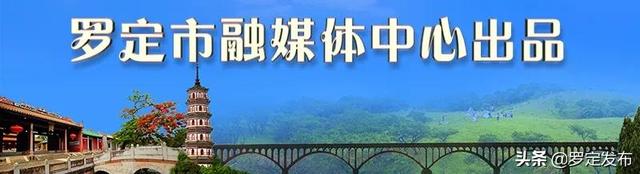 【奋斗故事我来“讲”】蔡宏浩：专注铁皮石斛种植，带领农户增收