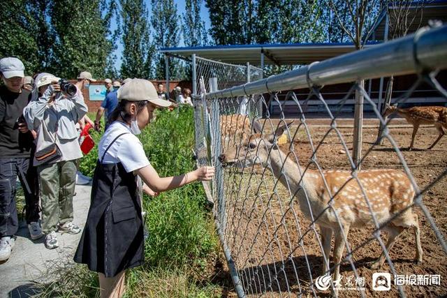 我和我的城市丨与“鹿”共舞 青岛亿联生物助推乡村振兴