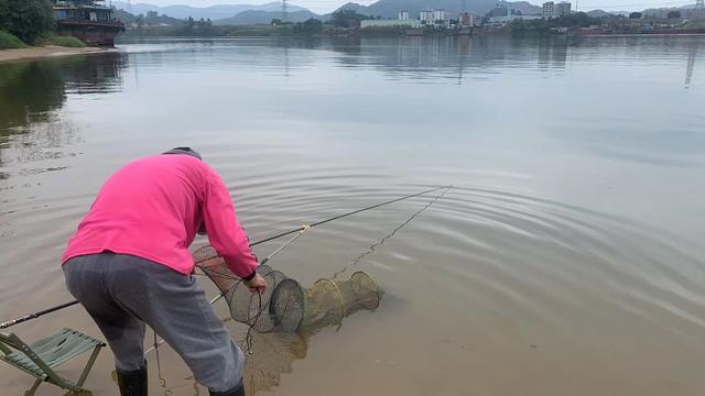 探钓东江摸鱼行动，过程惊险刺激，酸爽