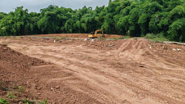 带动周边100余名群众就业 四川自贡沿滩光辉村现代化肉兔养殖基地年产值达1000万元