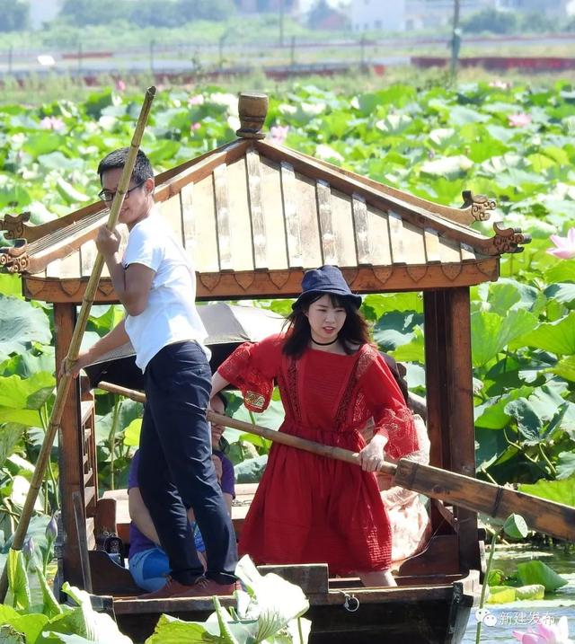 新建这个村坚定走农旅结合绿色之路！把荷塘变成聚宝盆，荷花变成摇钱树！