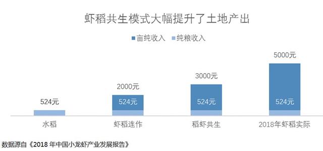 养虾需有“稻”—— 虾稻田水稻管理的意义和建议