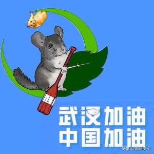 龙猫的养殖(科普片-龙猫疾病篇(2))