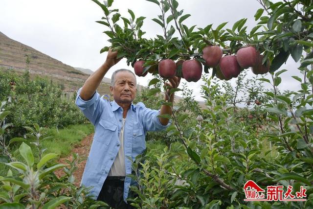 武山县堡子村：种养结合实现生态美产业兴 百姓富