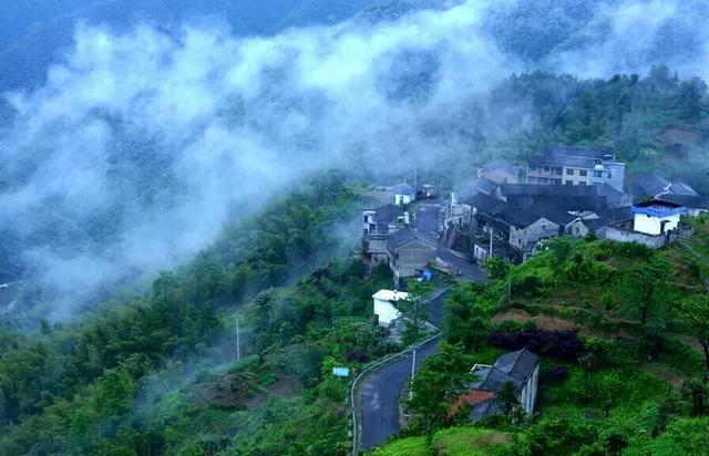 小康特色之路，南方大山深处的五黑鸡养殖