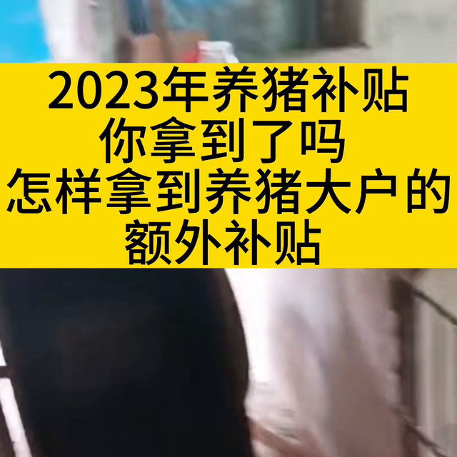 2023年猪猪补贴你拿到了吗？#猪价行情