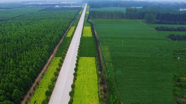 直击“生态巨龙”③｜矿区塌陷地上的绿色产业园