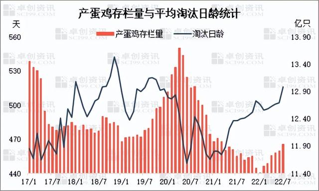 2022年规模化大层叠蛋鸡自动养殖，淘汰蛋鸡“身价”步步高升