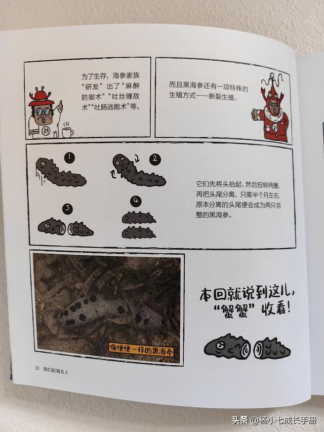 有趣又有梗的科普漫画，跟着刘博士去赶海！