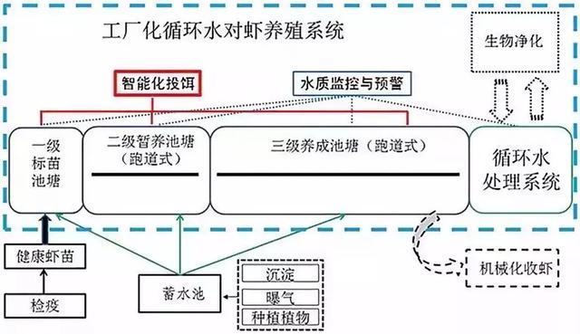 这种投资小产出高的对虾工厂化循环水养殖模式，你有兴趣吗？