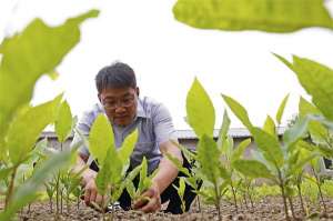 洪泽湖龙虾养殖基地(高质量发展看中国｜江苏泗洪：产业思维赋能百业  一泓碧水只此青绿)